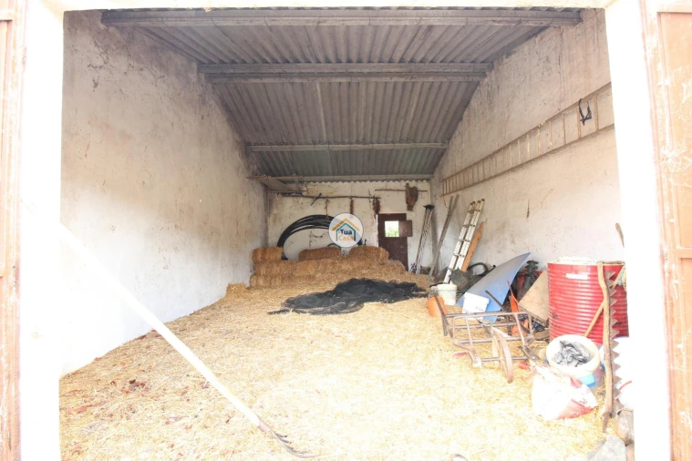 Quinta T3 para Venda em Terena (São Pedro) Foto 34