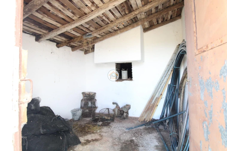 Quinta T3 para Venda em Terena (São Pedro) Foto 33