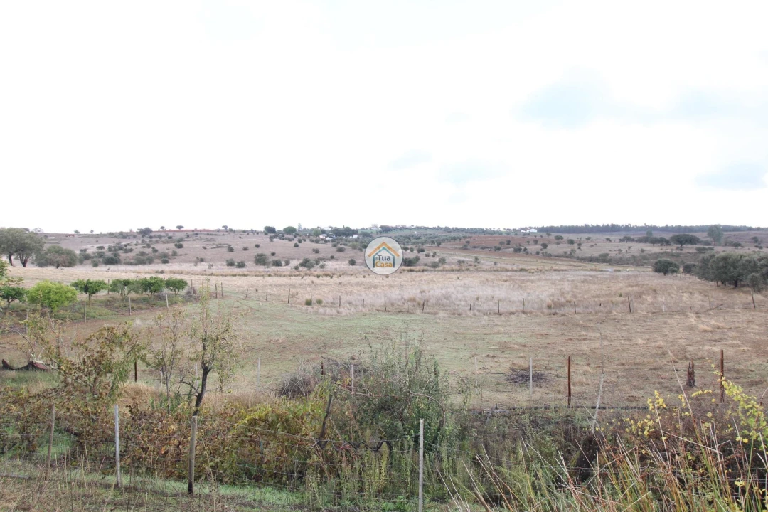 Quinta T3 para Venda em Terena (São Pedro) Foto 48