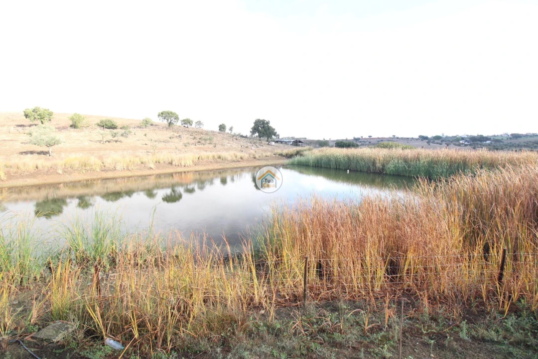 Quinta T3 para Venda em Terena (São Pedro) Foto 8