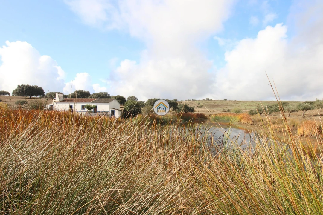 Quinta T3 para Venda em Terena (São Pedro) Foto 10