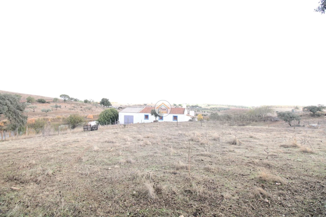 Quinta T3 para Venda em Terena (São Pedro) Foto 7