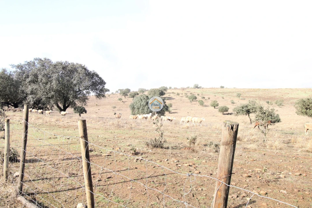 Quinta T3 para Venda em Terena (São Pedro) Foto 46
