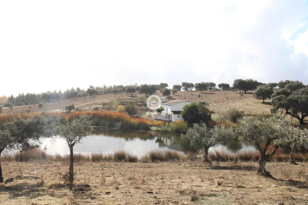 Quinta T3 para Venda em Terena (São Pedro) Foto 14