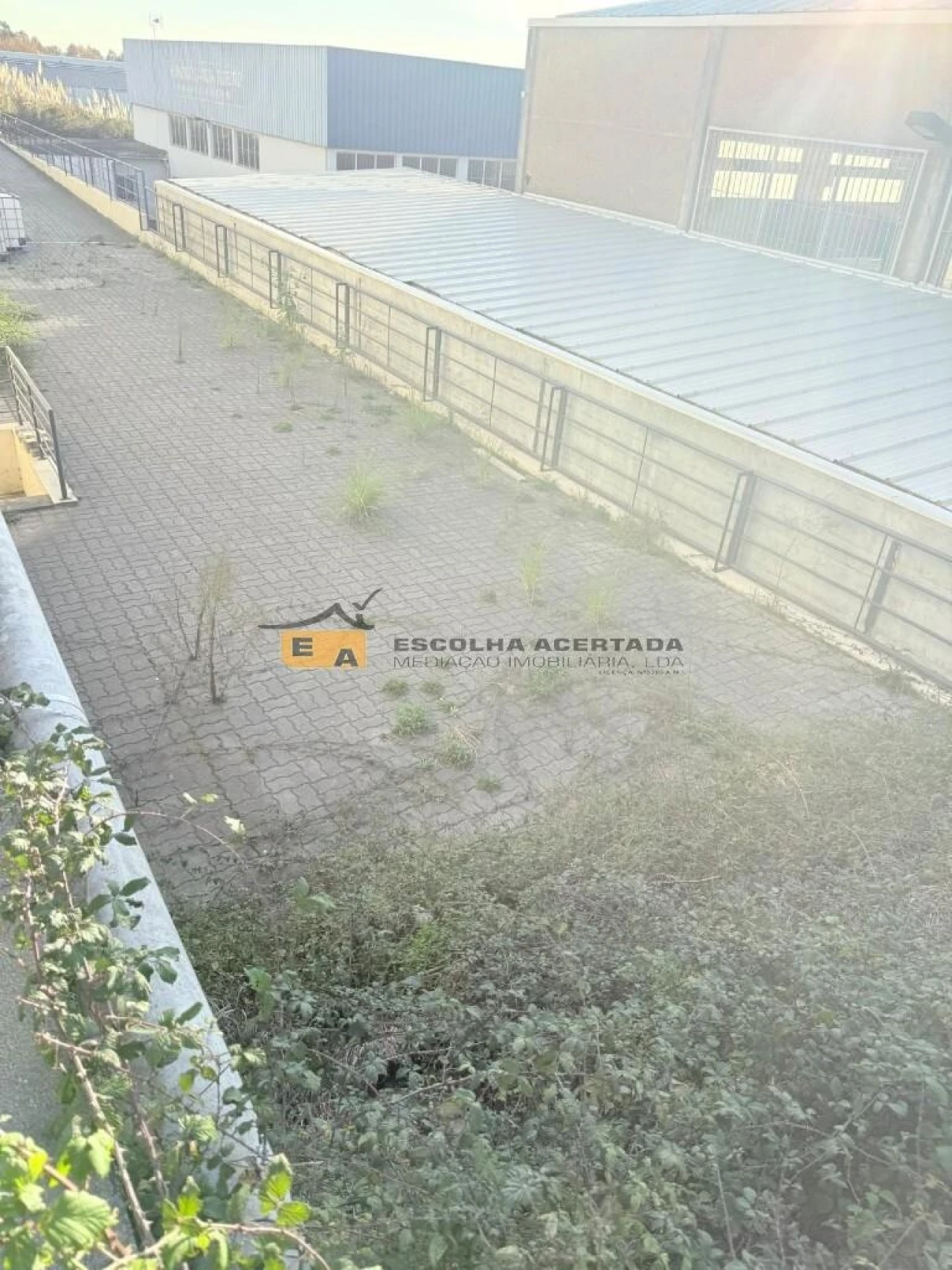 Armazém para Arrendamento em Grijó e Sermonde Foto 12