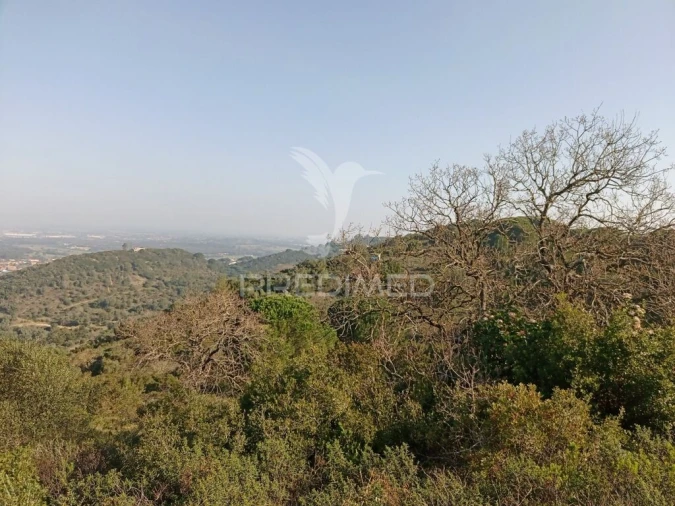 Terreno para Venda em São Francisco da Serra