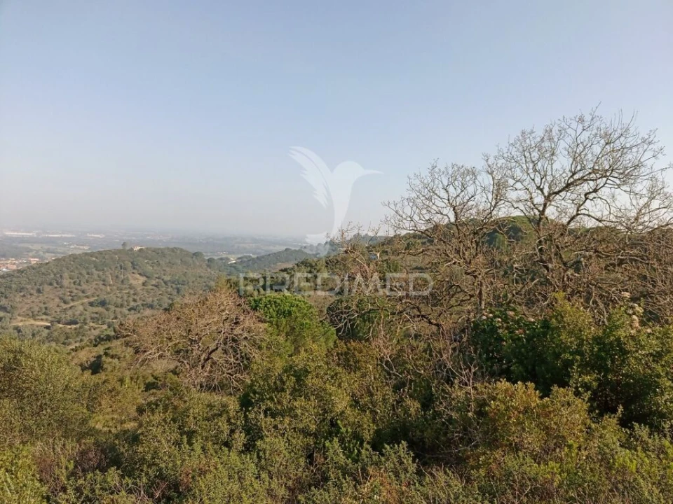 Terreno para Venda em São Francisco da Serra Foto 1