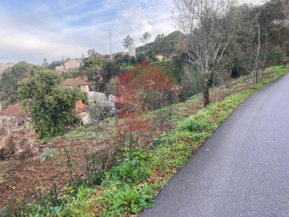 Terreno para Venda em Coucieiro Foto 28