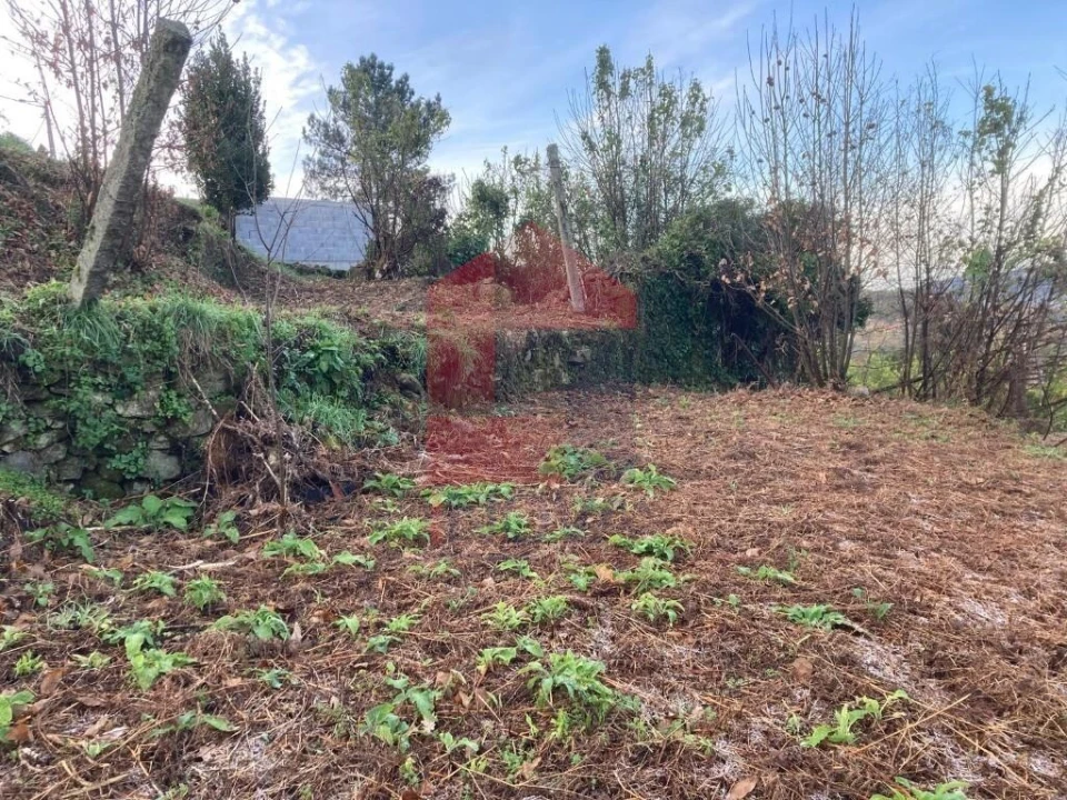 Terreno para Venda em Coucieiro Foto 22