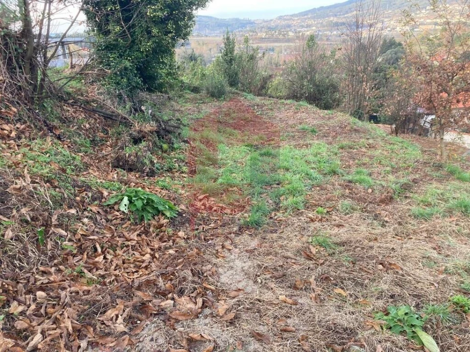 Terreno para Venda em Coucieiro Foto 35
