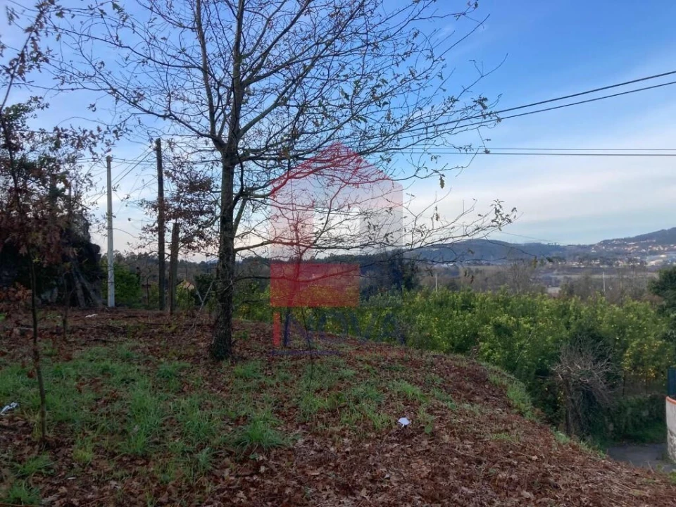 Terreno para Venda em Coucieiro Foto 17