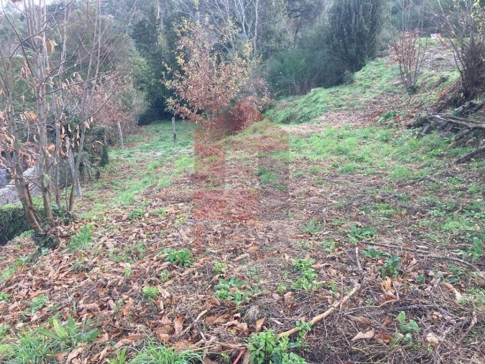 Terreno para Venda em Coucieiro Foto 32