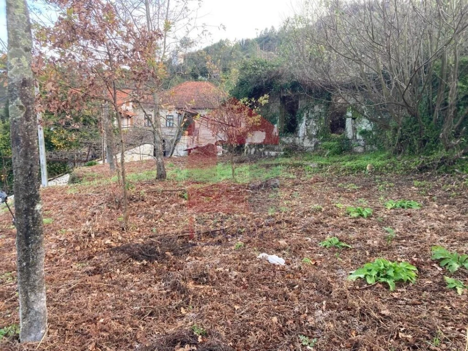Terreno para Venda em Coucieiro Foto 16