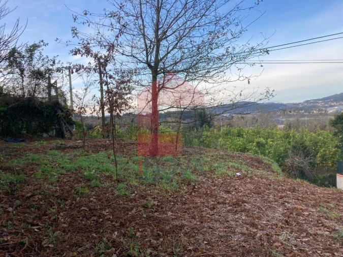 Terreno para Venda em Coucieiro Foto 18