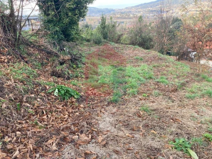 Terreno para Venda em Coucieiro Foto 35
