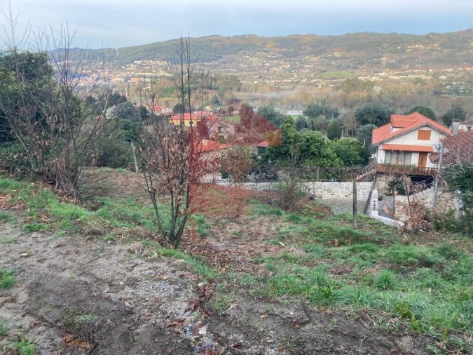 Terreno para Venda em Coucieiro Foto 37