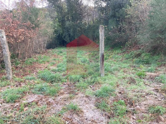 Terreno para Venda em Coucieiro Foto 30