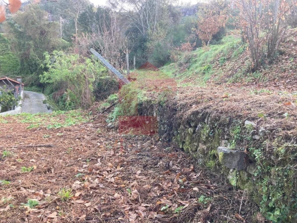 Terreno para Venda em Coucieiro Foto 20