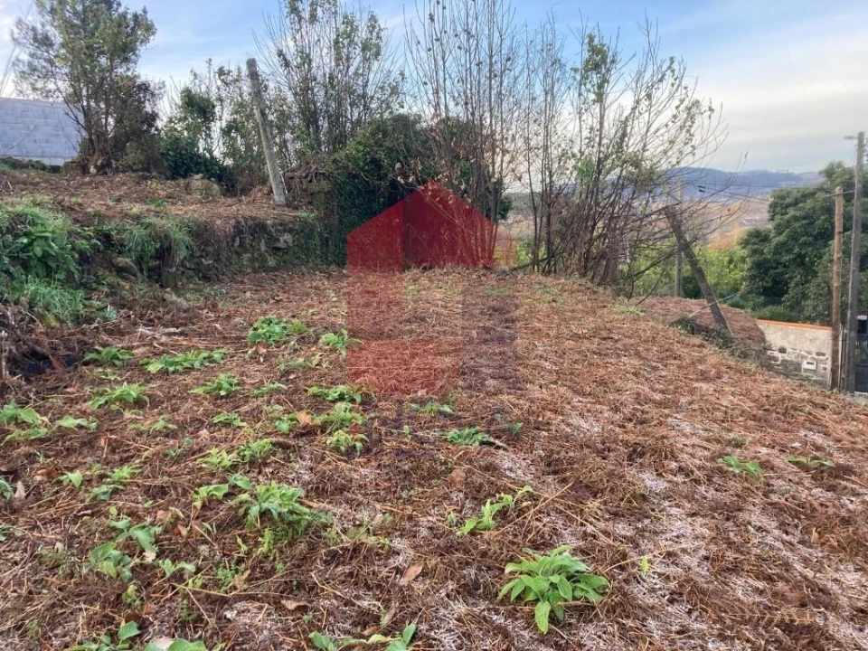 Terreno para Venda em Coucieiro Foto 23