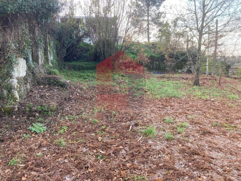 Terreno para Venda em Coucieiro Foto 19