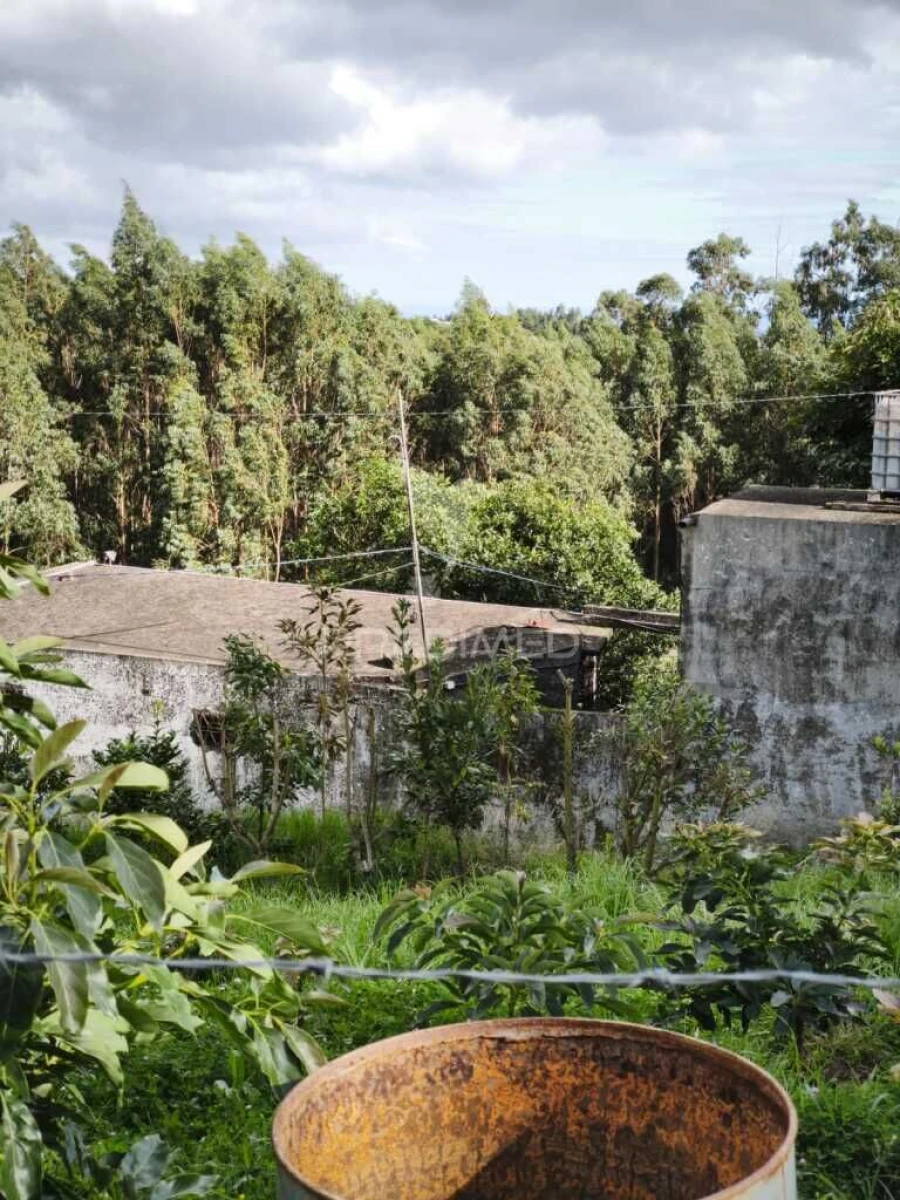 Quinta T2 para Venda em Camacha Foto 11