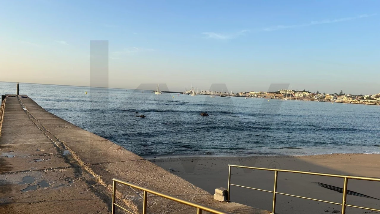 Moradia T4 para Arrendamento em Cascais e Estoril Foto 77