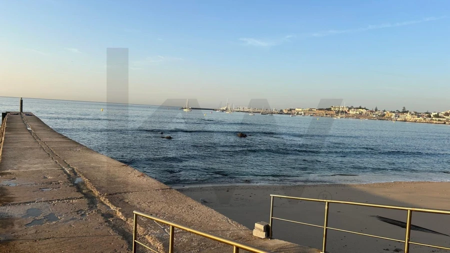 Moradia T4 para Arrendamento em Cascais e Estoril Foto 77