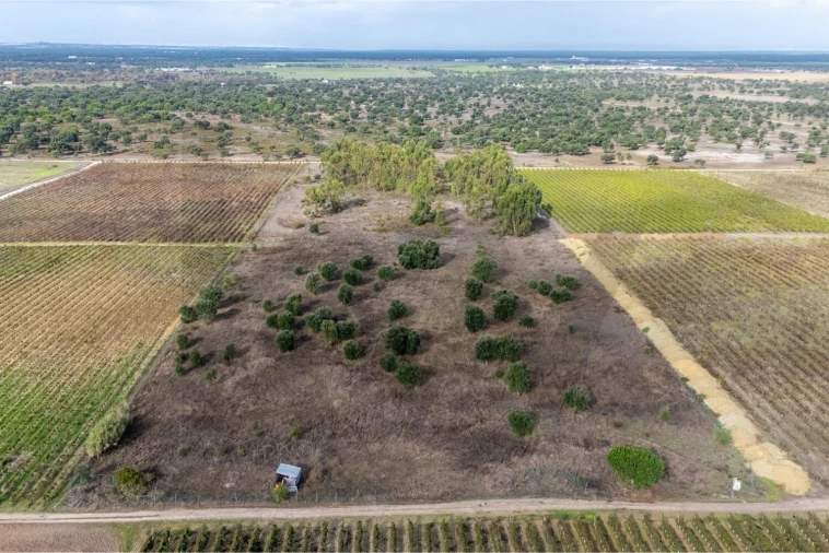 Terreno para Venda em Poceirão e Marateca Foto 3