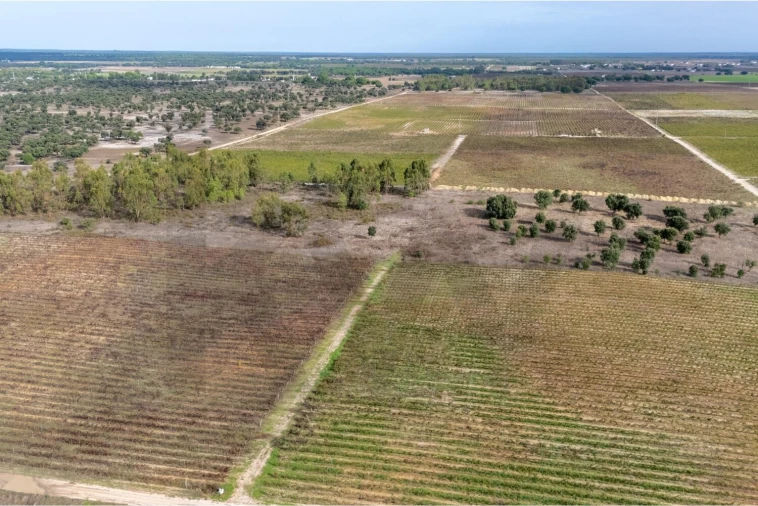 Terreno para Venda em Poceirão e Marateca Foto 8