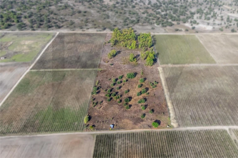 Terreno para Venda em Poceirão e Marateca Foto 1