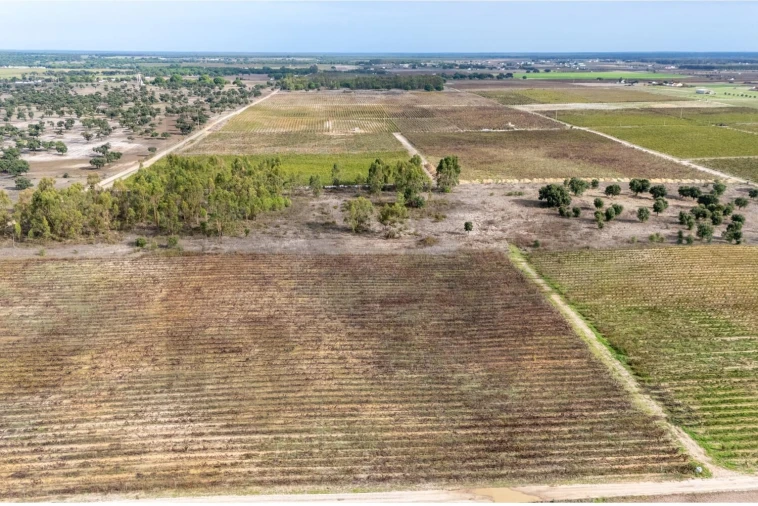 Terreno para Venda em Poceirão e Marateca Foto 7
