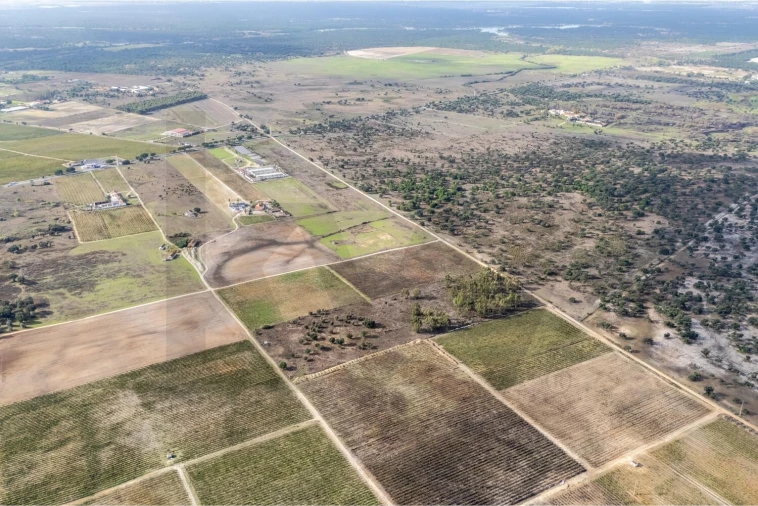 Terreno para Venda em Poceirão e Marateca Foto 15