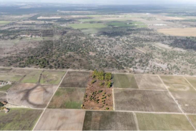 Terreno para Venda em Poceirão e Marateca Foto 13