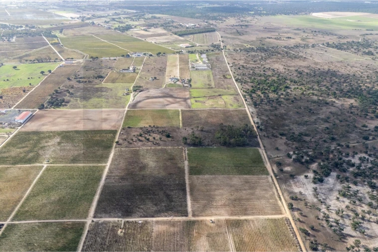 Terreno para Venda em Poceirão e Marateca Foto 16