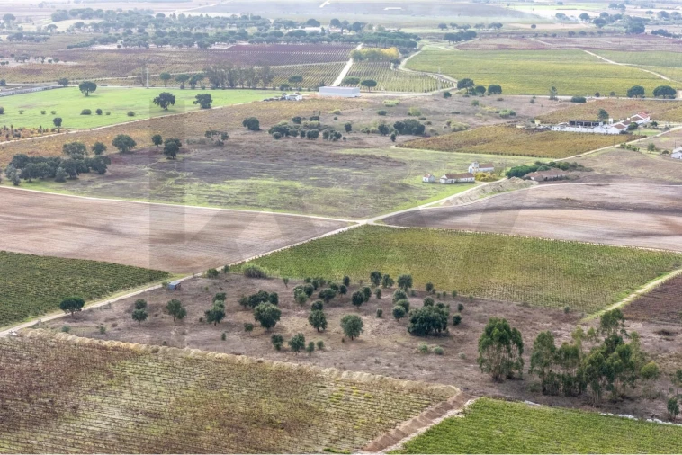 Terreno para Venda em Poceirão e Marateca Foto 11