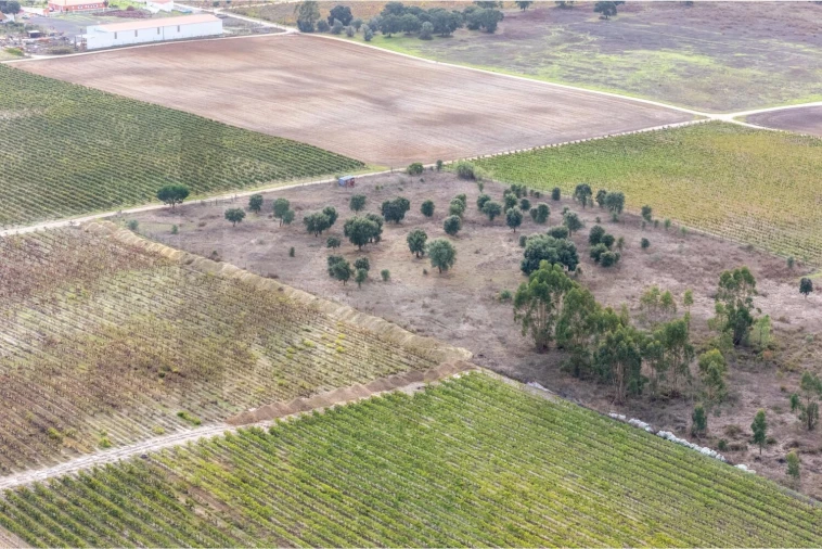 Terreno para Venda em Poceirão e Marateca Foto 10
