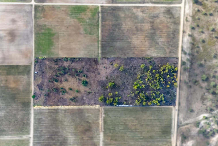 Terreno para Venda em Poceirão e Marateca Foto 2