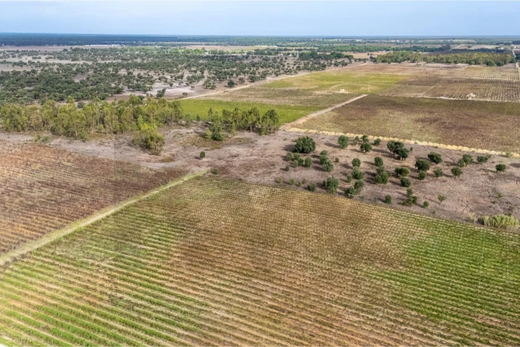 Terreno para Venda em Poceirão e Marateca Foto 9