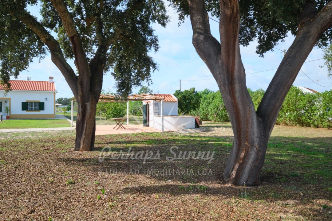Quinta T6 para Venda em Grândola e Santa Margarida da Serra Foto 9