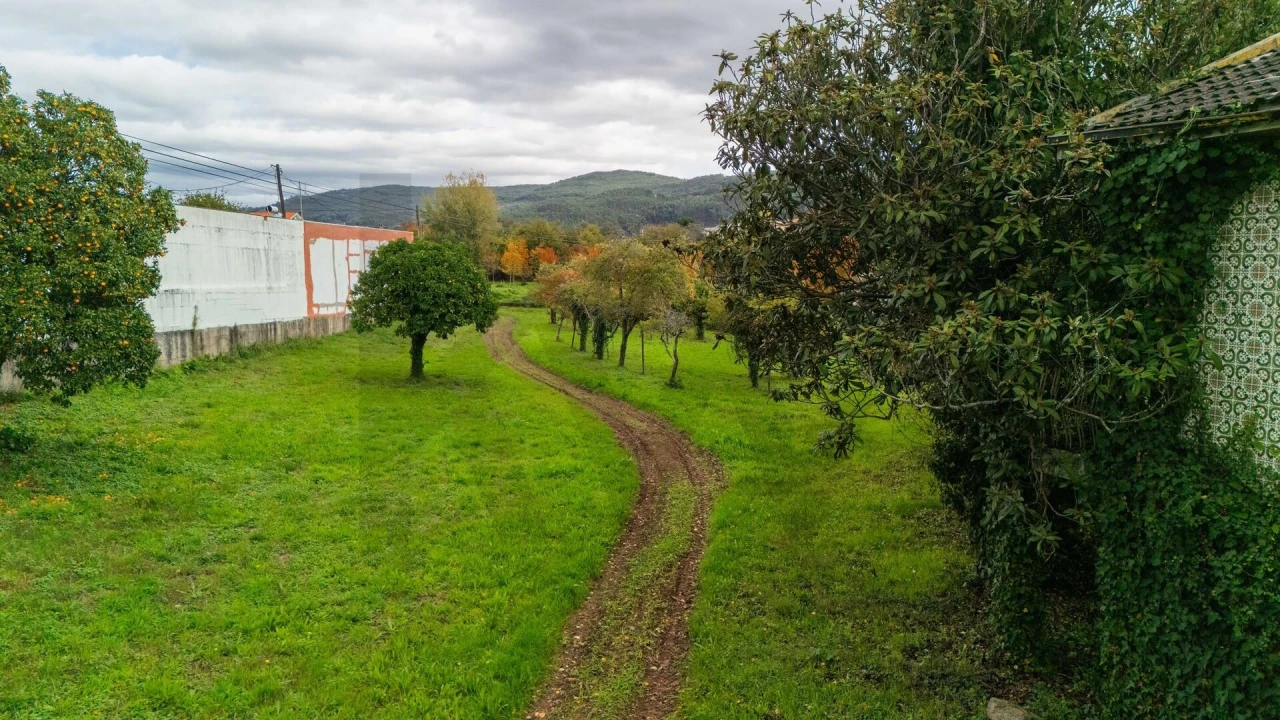 Terreno para Venda em Gualtar Foto 6