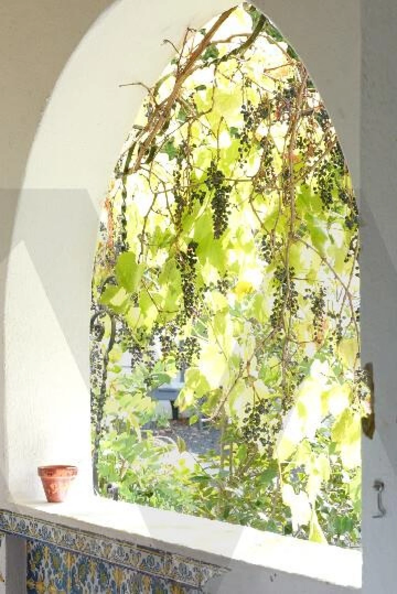 Quinta T5 para Venda em Cartaxo e Vale da Pinta Foto 53