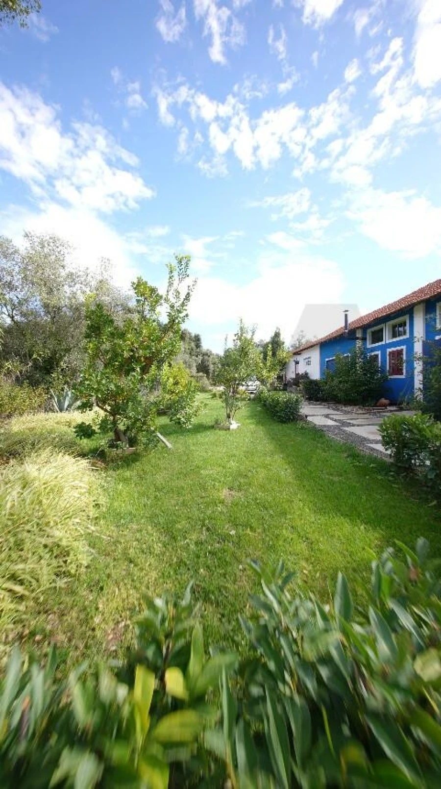 Quinta T5 para Venda em Cartaxo e Vale da Pinta Foto 21