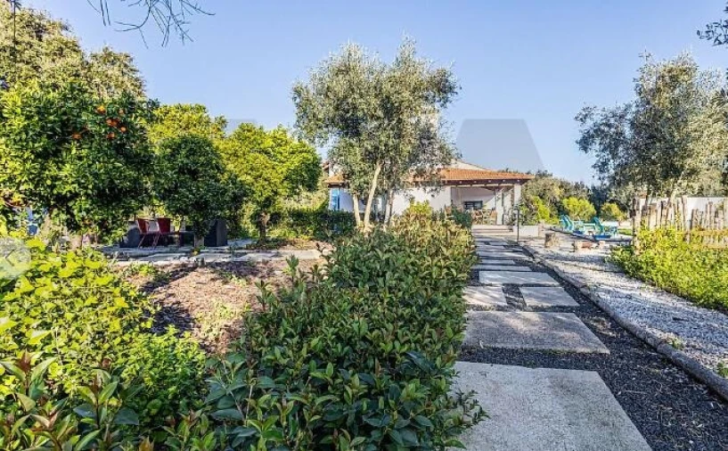 Quinta T5 para Venda em Cartaxo e Vale da Pinta Foto 62