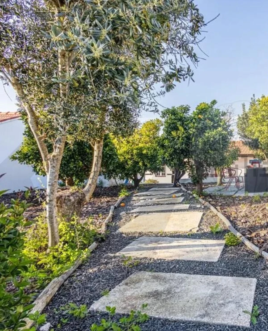 Quinta T5 para Venda em Cartaxo e Vale da Pinta Foto 58