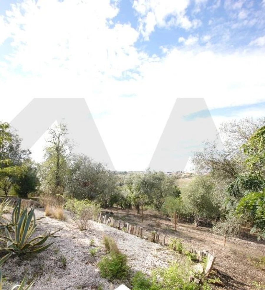 Quinta T5 para Venda em Cartaxo e Vale da Pinta Foto 18