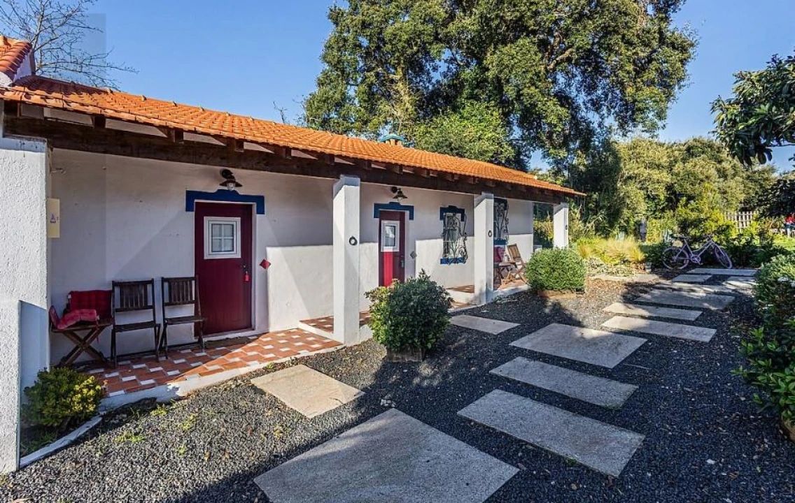 Quinta T5 para Venda em Cartaxo e Vale da Pinta Foto 69