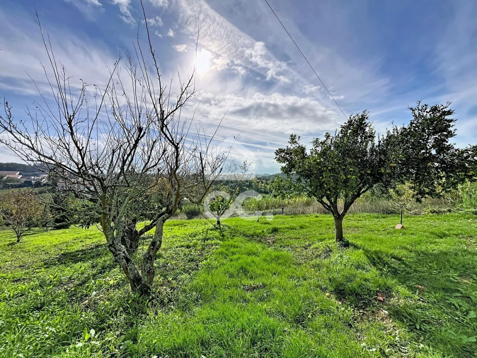 Moradia T3 para Venda em Peral Foto 40