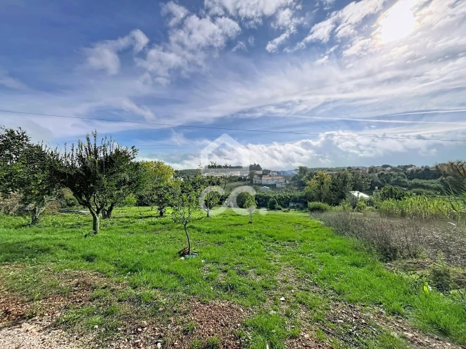 Moradia T3 para Venda em Peral Foto 39