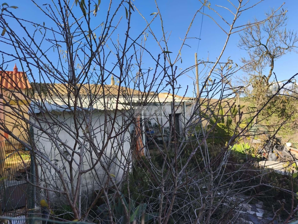 Quinta T4 para Venda em Lagos (São Sebastião e Santa Maria) Foto 5