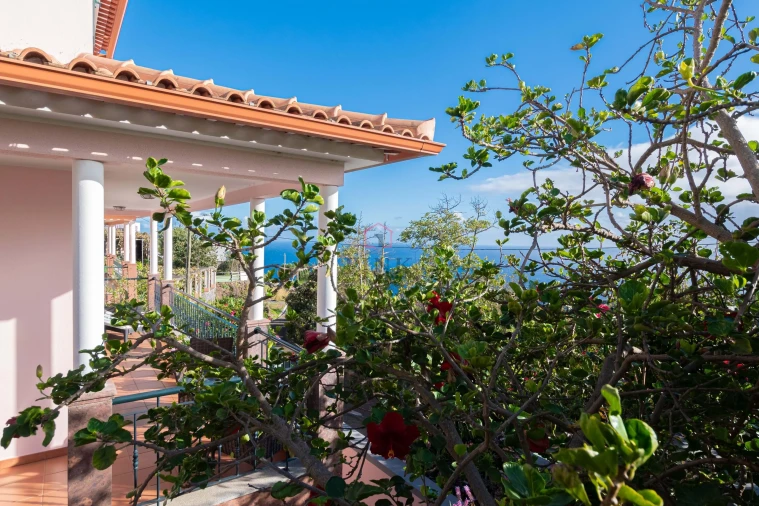 Moradia T4 para Venda em Gaula Foto 59